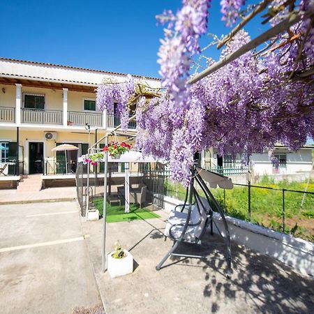 Ionian Luxury Apartments Perama  Exteriér fotografie