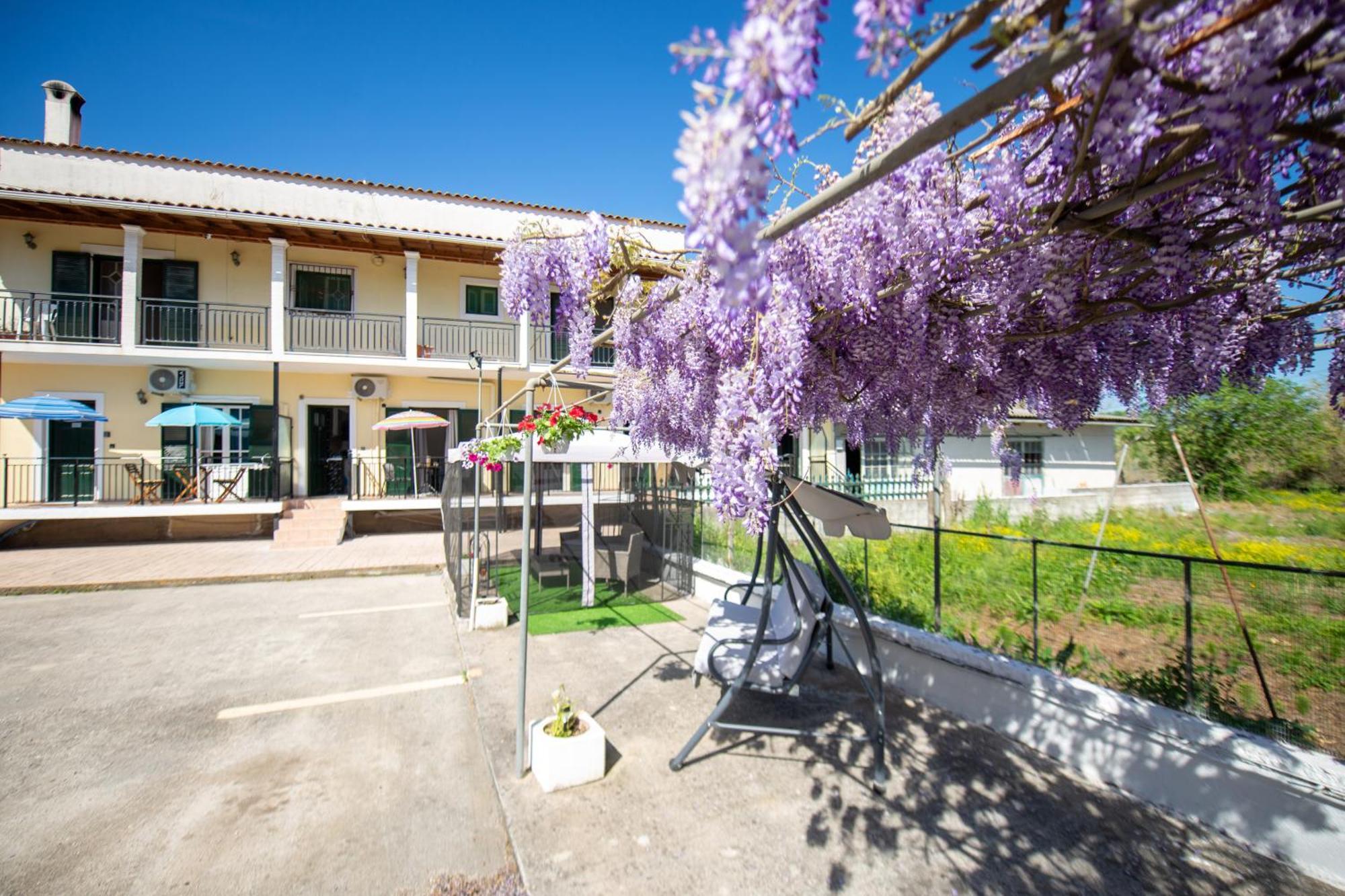 Ionian Luxury Apartments Perama  Exteriér fotografie